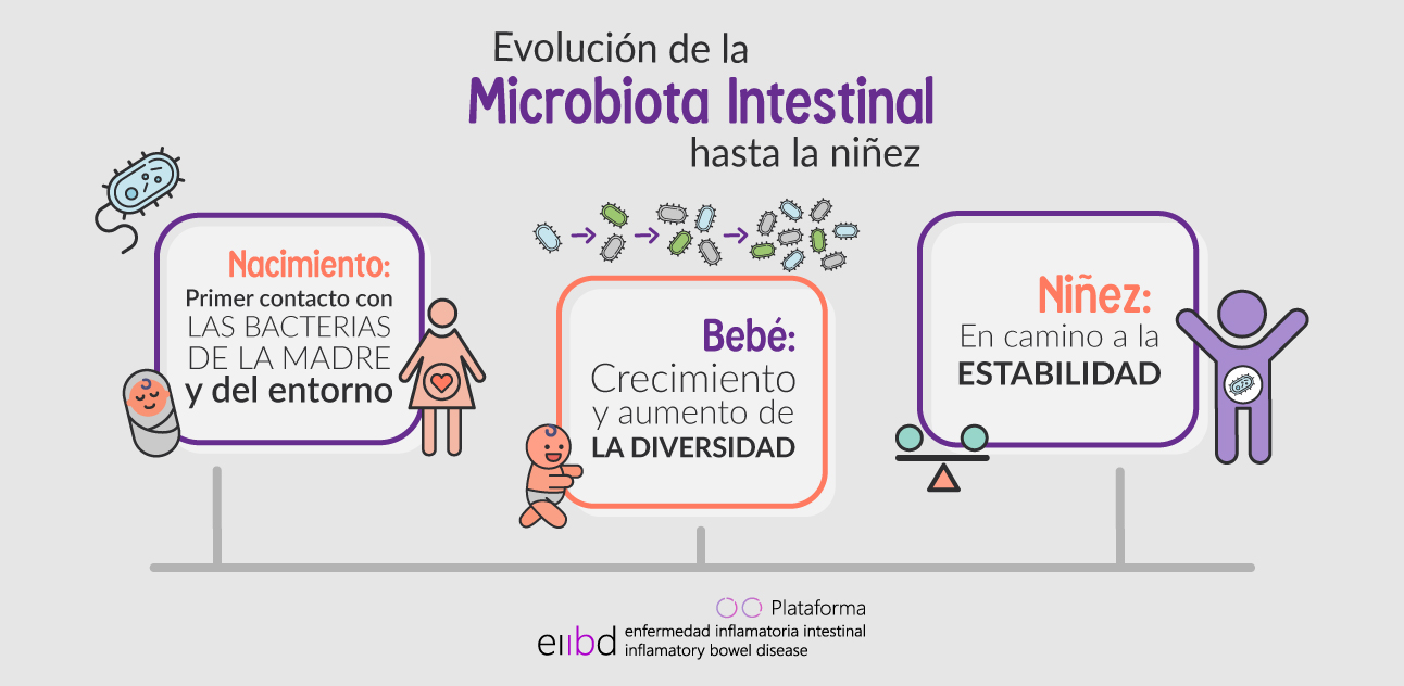 Enfermedad-Inflamatoria-Intestinal-Imagen-Desarrollo de la microbiota intestinal
